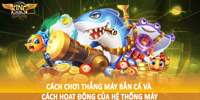 Cách chơi thắng máy bắn cá và cách hoạt động của hệ thống máy